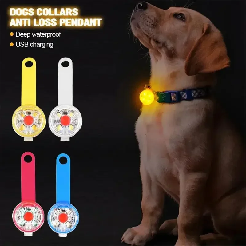Dog Anti Lost Safety Glowing C - Outdoor Lighting Led Strip avis et prix