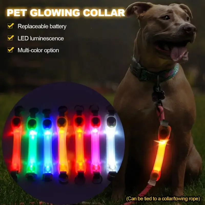 Dog Anti Lost Safety Glowing C - Outdoor Lighting Led Strip avis et prix