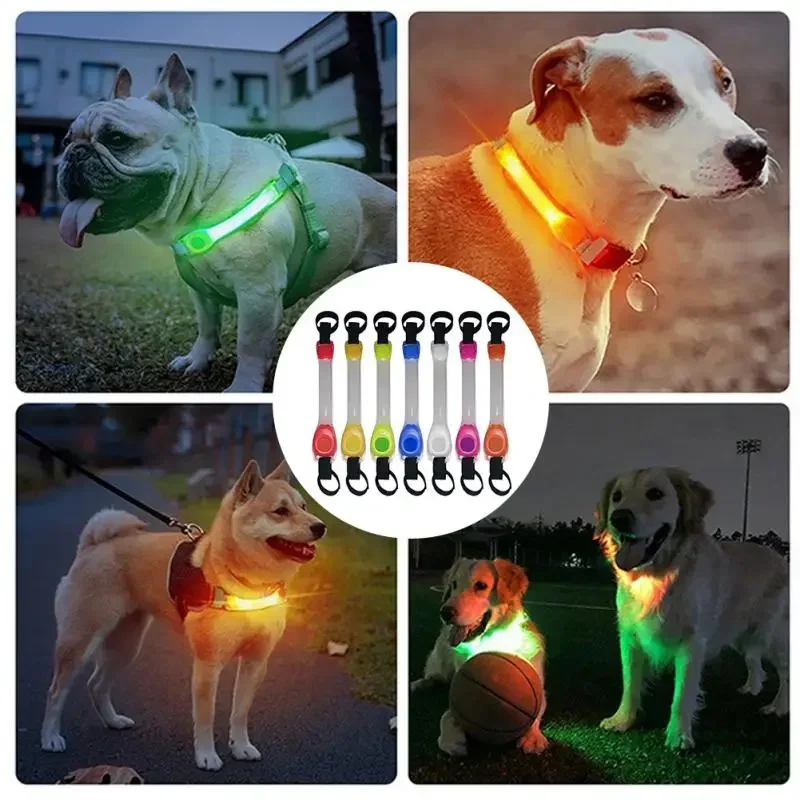 Dog Anti Lost Safety Glowing C - Outdoor Lighting Led Strip avis et prix