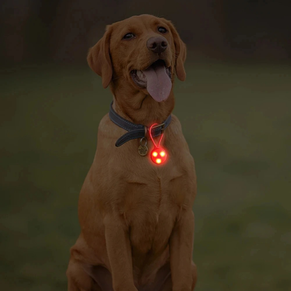 Outdoor Backpack Lights Silico - Outdoor Lighting Led Strip avis et prix
